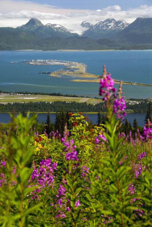Scenic Overlooking Homer Spit Wall Decal