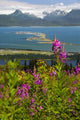 Scenic Overlooking Homer Spit Wall Decal
