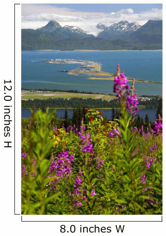 Scenic Overlooking Homer Spit Wall Decal