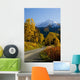 Fall Colors And Snowcapped Peaks Along The Palmer Creek Road Near Hope Wall Mural