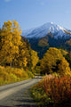 Fall Colors And Snowcapped Peaks Along The Palmer Creek Road Near Hope Wall Mural
