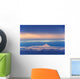 Iliamna Volcano Seen Across Cook Inlet From The Kenai Peninsula Wall Mural