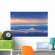 Iliamna Volcano Seen Across Cook Inlet From The Kenai Peninsula Wall Mural