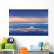 Iliamna Volcano Seen Across Cook Inlet From The Kenai Peninsula Wall Mural