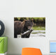 Brown Bear Feeds On Spawning Pink Salmon Wall Mural