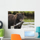 Brown Bear Feeds On Spawning Pink Salmon Wall Mural