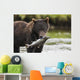 Brown Bear Feeds On Spawning Pink Salmon Wall Mural