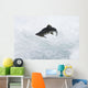 A Spawning Pink Salmon Jumps An Obstacle Wall Mural