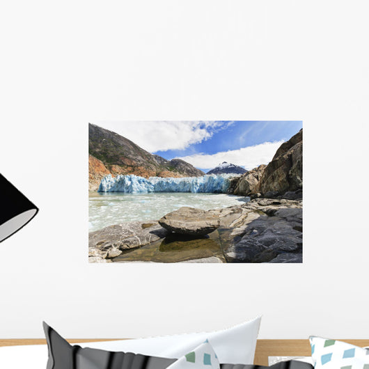 View Of Dawes Glacier From The Cliffs In Endicott Arm Wall Mural