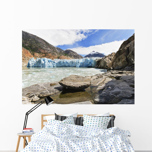 View Of Dawes Glacier From The Cliffs In Endicott Arm Wall Mural