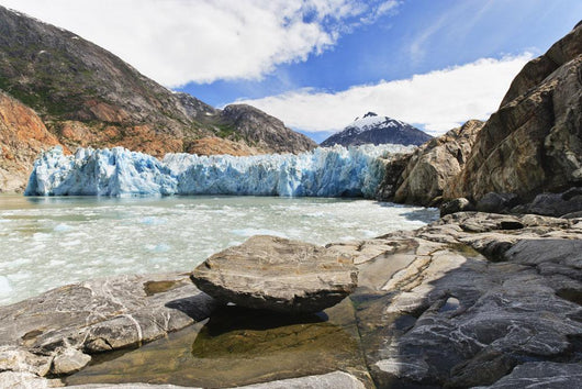 View Of Dawes Glacier From The Cliffs In Endicott Arm Wall Mural