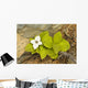 Close Up Of Dwarf Dogwood At Lowell Point Near Seward Wall Mural