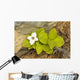 Close Up Of Dwarf Dogwood At Lowell Point Near Seward Wall Mural