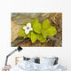 Close Up Of Dwarf Dogwood At Lowell Point Near Seward Wall Mural