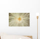 Macro Of Mountain Avens Wildflower Seedhead In Chugach State Park Wall Mural