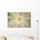 Macro Of Mountain Avens Wildflower Seedhead In Chugach State Park Wall Mural