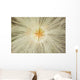 Macro Of Mountain Avens Wildflower Seedhead In Chugach State Park Wall Mural