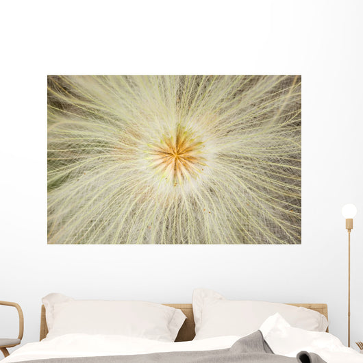 Macro Of Mountain Avens Wildflower Seedhead In Chugach State Park Wall Mural