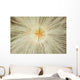 Macro Of Mountain Avens Wildflower Seedhead In Chugach State Park Wall Mural