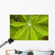 Macro Of A Dew Drop Wall Mural