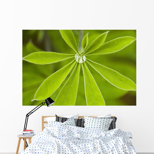 Macro Of A Dew Drop Wall Mural