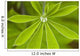 Macro Of A Dew Drop Wall Mural