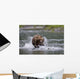 Brown Bear Chases Salmon In A Shallow Stream Wall Mural