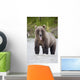Brown Bear Sticking Out Its Tongue While Standing In The Copper River Wall Mural
