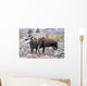 Moose Bull And Cow Rubbing Muzzles In Courtship Behavior During Rut Wall Mural