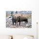 Moose Bull And Cow Rubbing Muzzles In Courtship Behavior During Rut Wall Mural