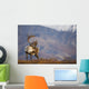 Bull Caribou On Autumn Tundra In Denali National Park, Interior Alaska Wall Mural