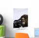 Musk-Ox Cows & Calves Wall Mural