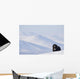 Female Musk-Ox Stands On Ridge Wall Mural