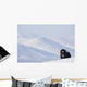 Female Musk-Ox Stands On Ridge Wall Mural