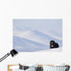 Female Musk-Ox Stands On Ridge Wall Mural