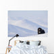 Female Musk-Ox Stands On Ridge Wall Mural