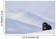 Female Musk-Ox Stands On Ridge Wall Mural