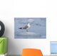 Mew Gull Adult On An Iceberg Wall Mural