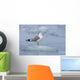 Mew Gull Adult On An Iceberg Wall Mural