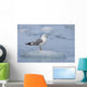 Mew Gull Adult On An Iceberg Wall Mural