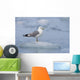 Mew Gull Adult On An Iceberg Wall Mural