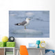 Mew Gull Adult On An Iceberg Wall Mural