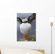 Horned Puffin With Wings Outstretched Wall Mural