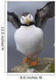 Horned Puffin With Wings Outstretched Wall Mural
