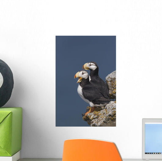 Southwest Alaska Wall Mural