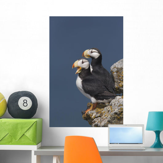 Southwest Alaska Wall Mural