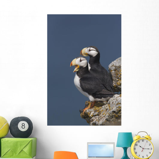 Southwest Alaska Wall Mural