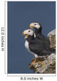 Southwest Alaska Wall Mural
