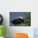 Tufted Puffin Perched On Rock Ledge Wall Mural