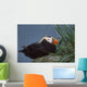 Tufted Puffin Perched On Rock Ledge Wall Mural